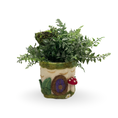 Load image into Gallery viewer, Woodland Mushroom Felt Planter Cover
