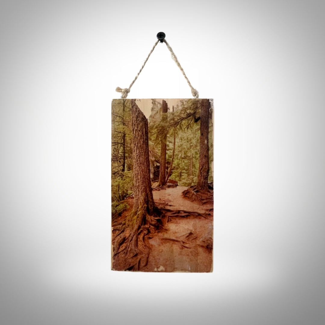 Vintage Wooden Redwood Print