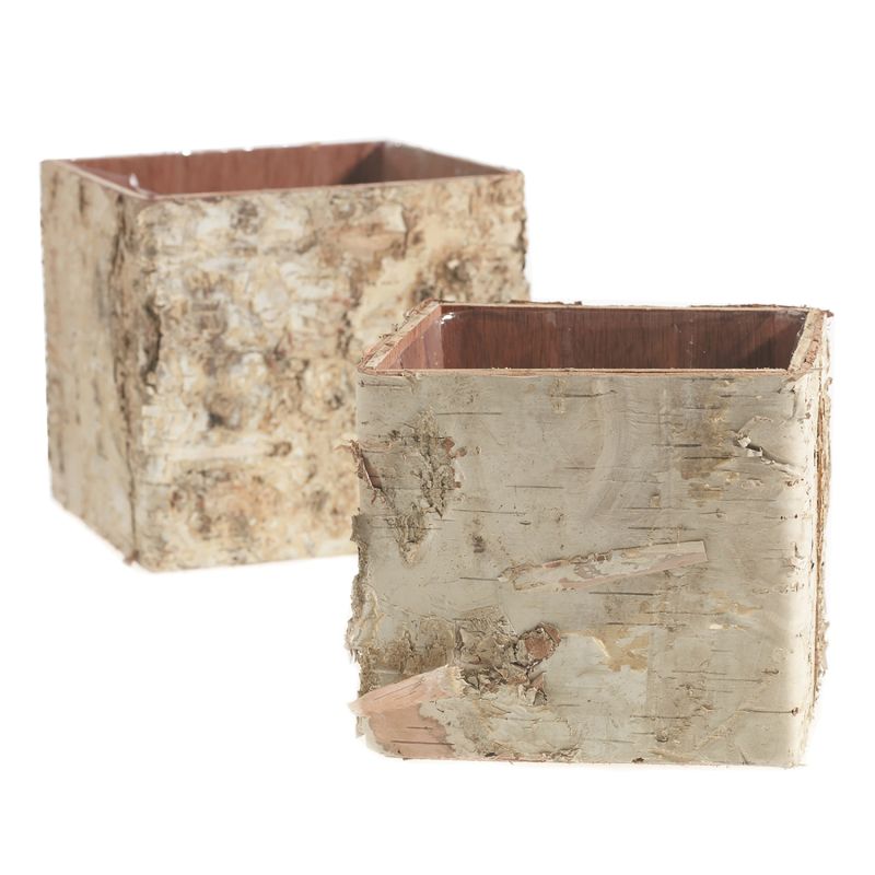 Birch Square Pots