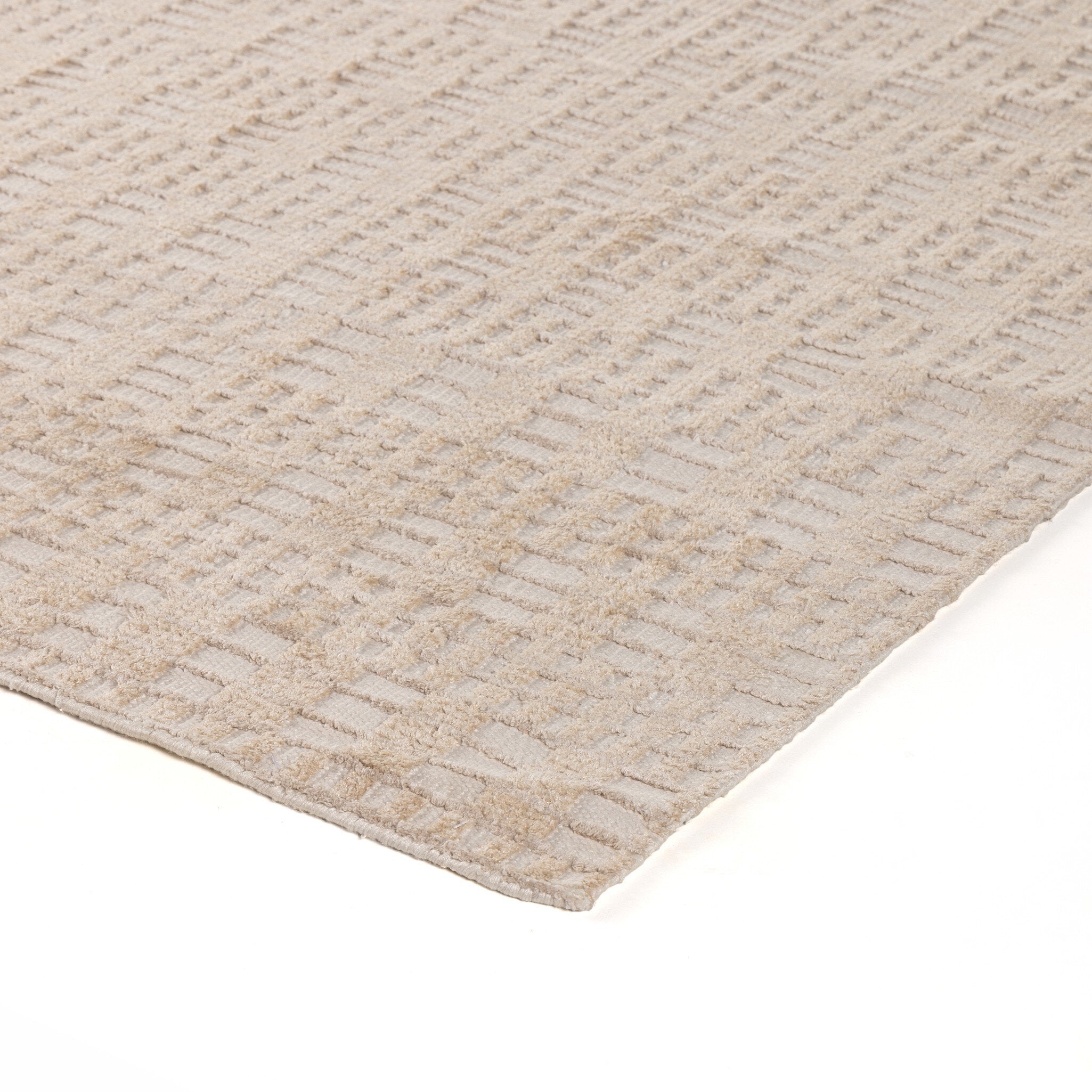 Tanvi Hand Knotted Rug 8x10'